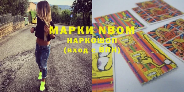 бошки Алексин