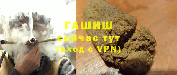 стаф Алзамай