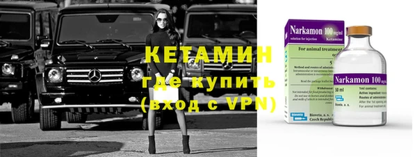 стаф Алзамай