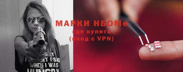стаф Алзамай