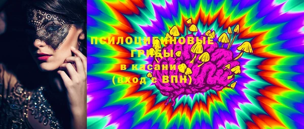 стаф Алзамай