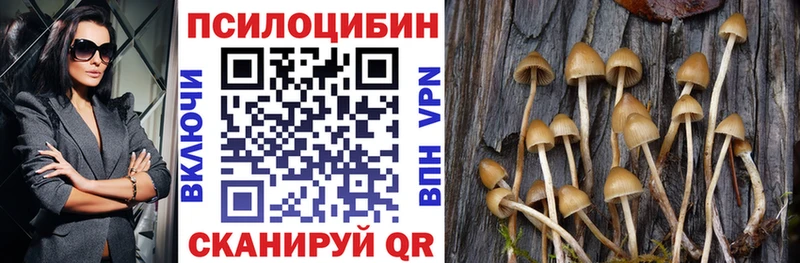 Псилоцибиновые грибы GOLDEN TEACHER  что такое наркотик  Люберцы 